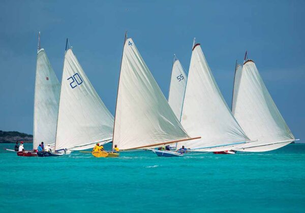 Standard Tideline Calendar - Image 8